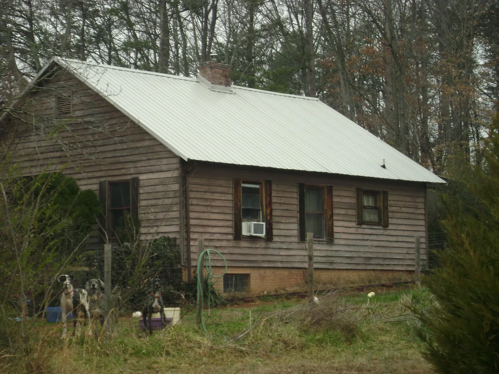 White metal roof on an old wood sided farmhouse, from a Asphalt Shingle Roof Repair job in Laurelville